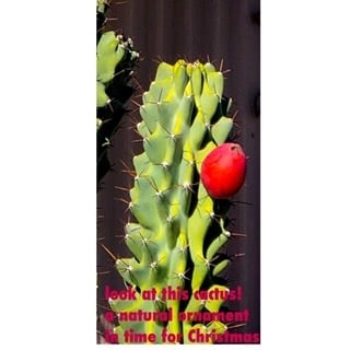 Natural Cactus Ornament - student project