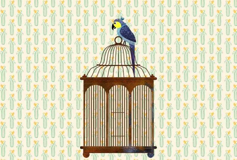 birdcage