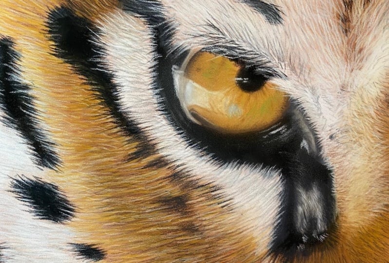 Tiger Eye - PanPastel & Pastel Pencils