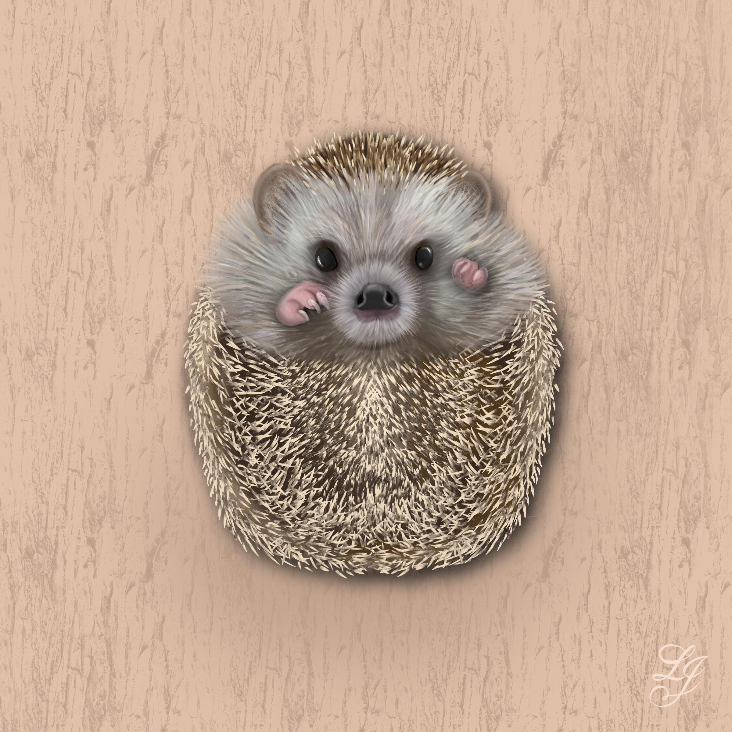 My cute hedgehog - student project
