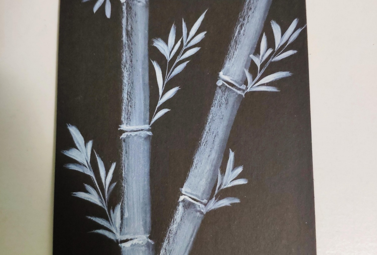 bamboo - student project