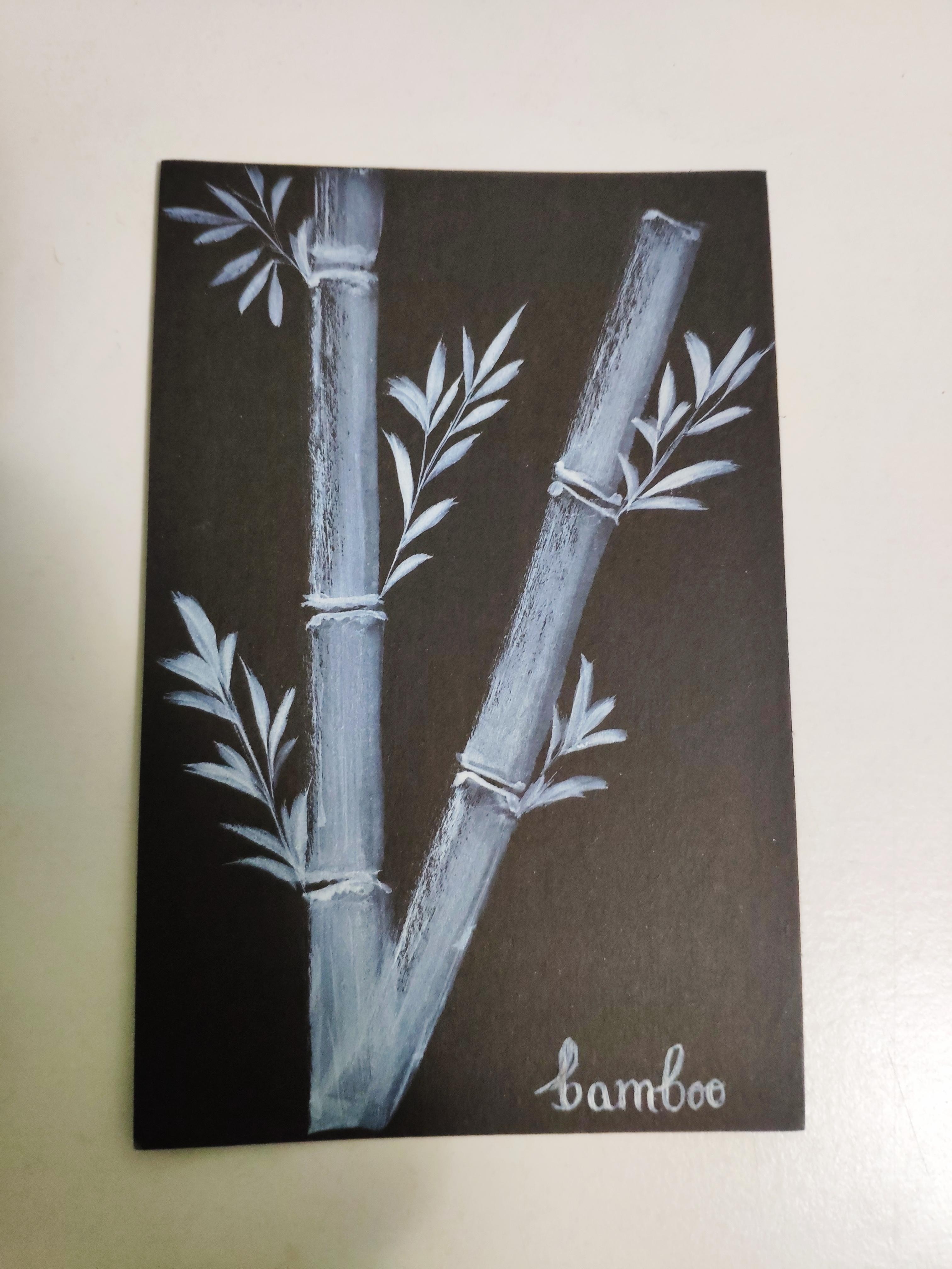 bamboo - student project