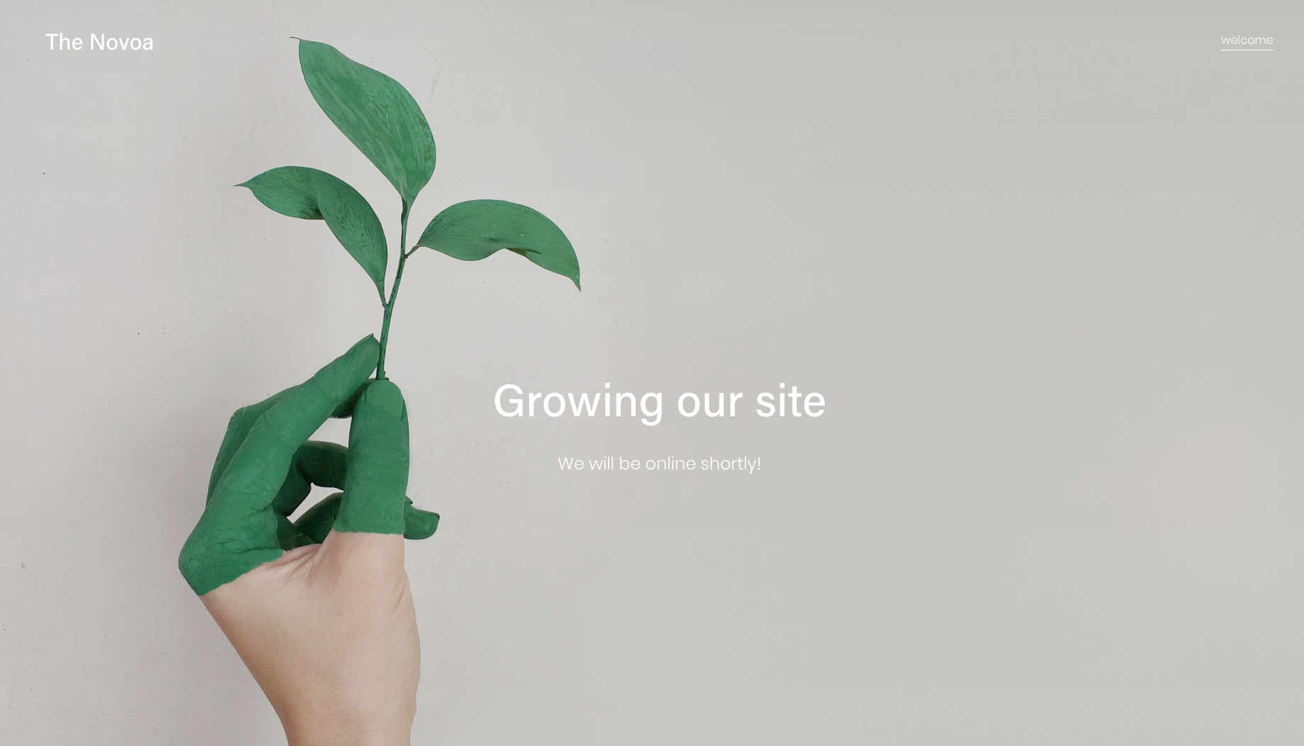 The Novoa - student project