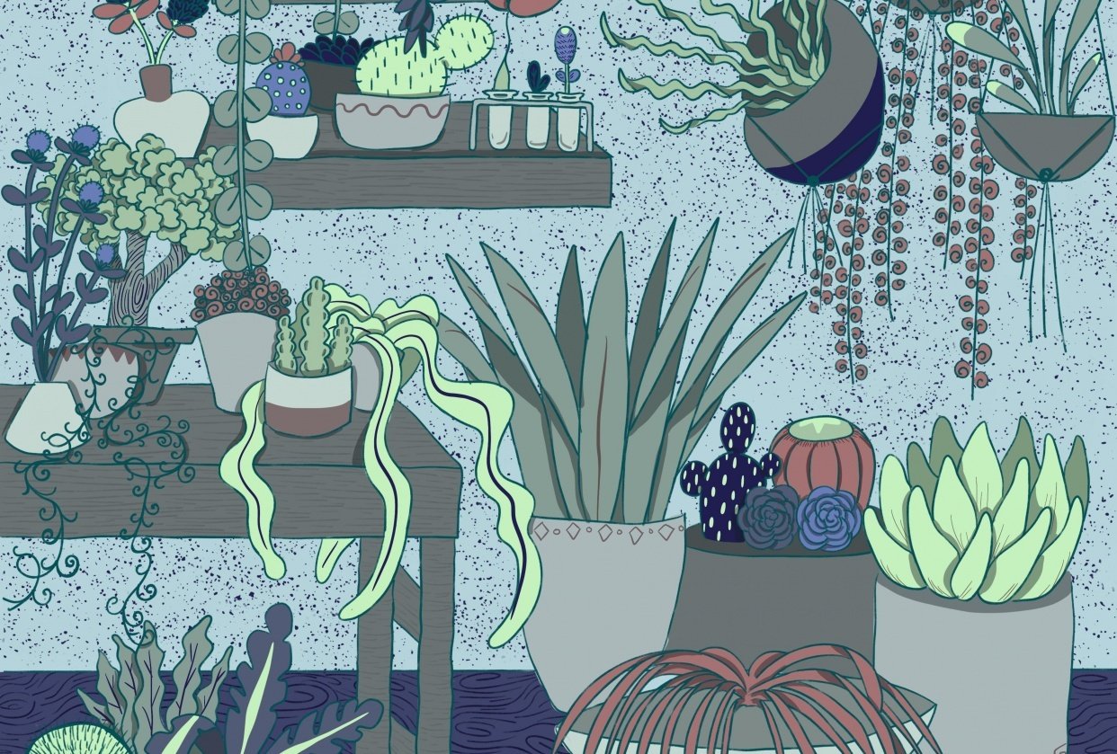 Cool Botanicals - student project