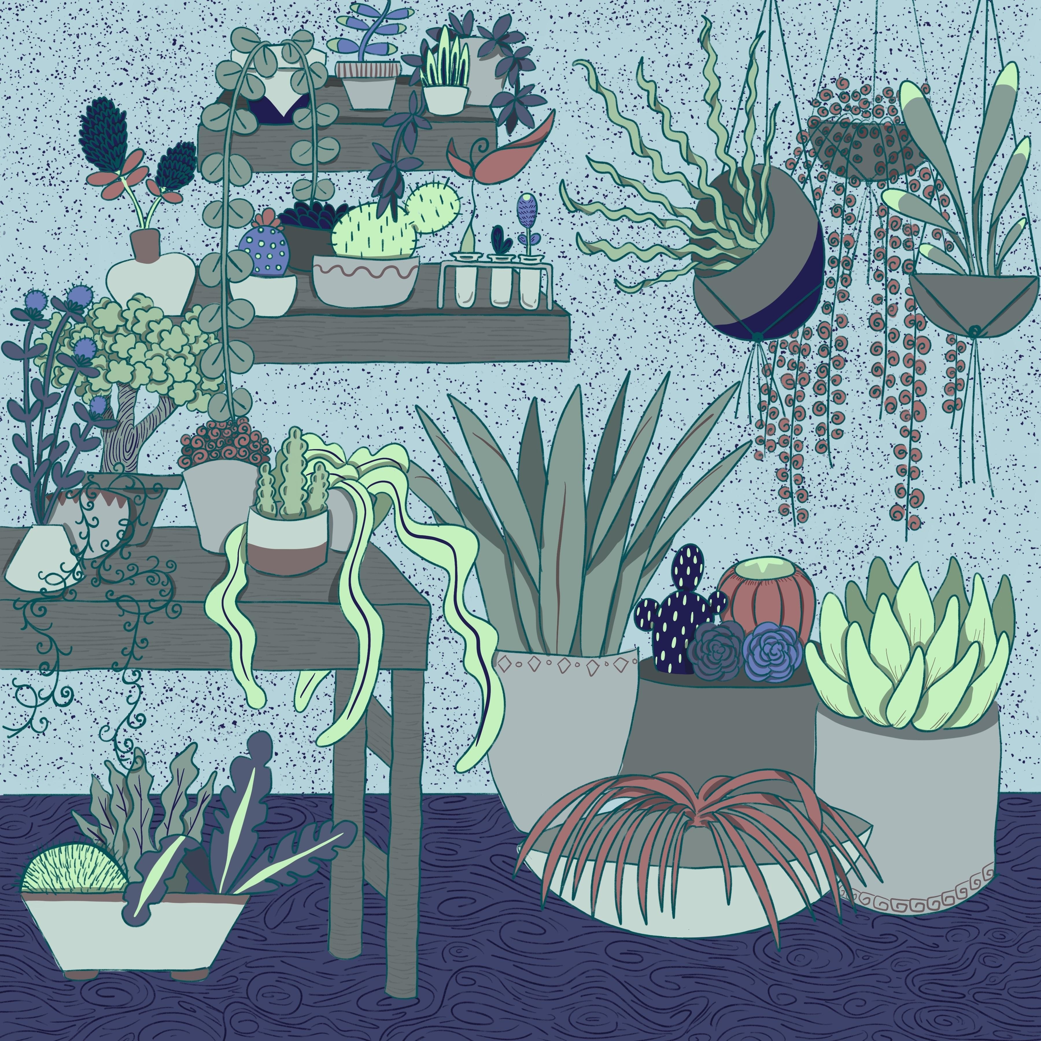 Cool Botanicals - student project