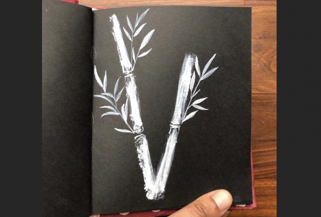 Bamboo illustration - student project