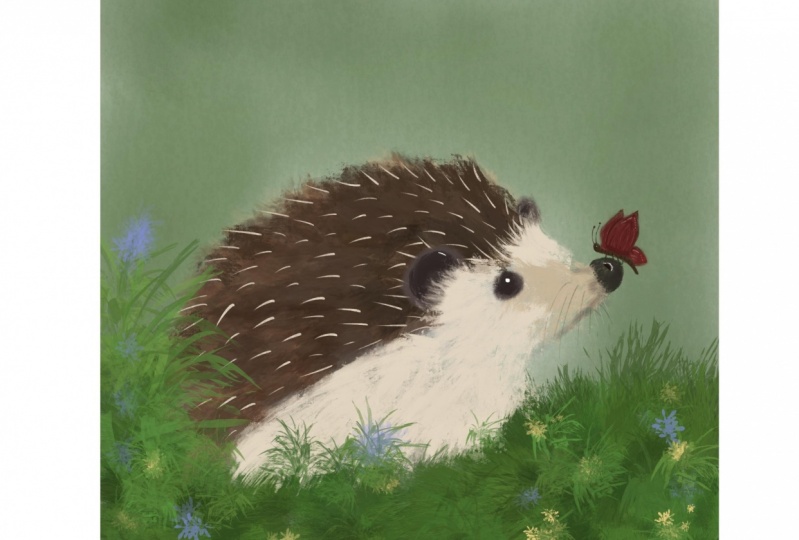 Hedgehog
