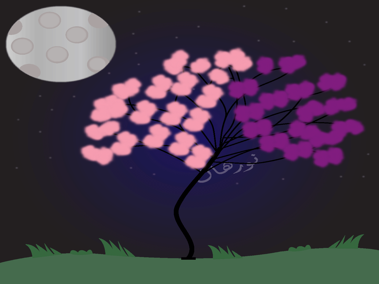 more-projects-from-class-img
