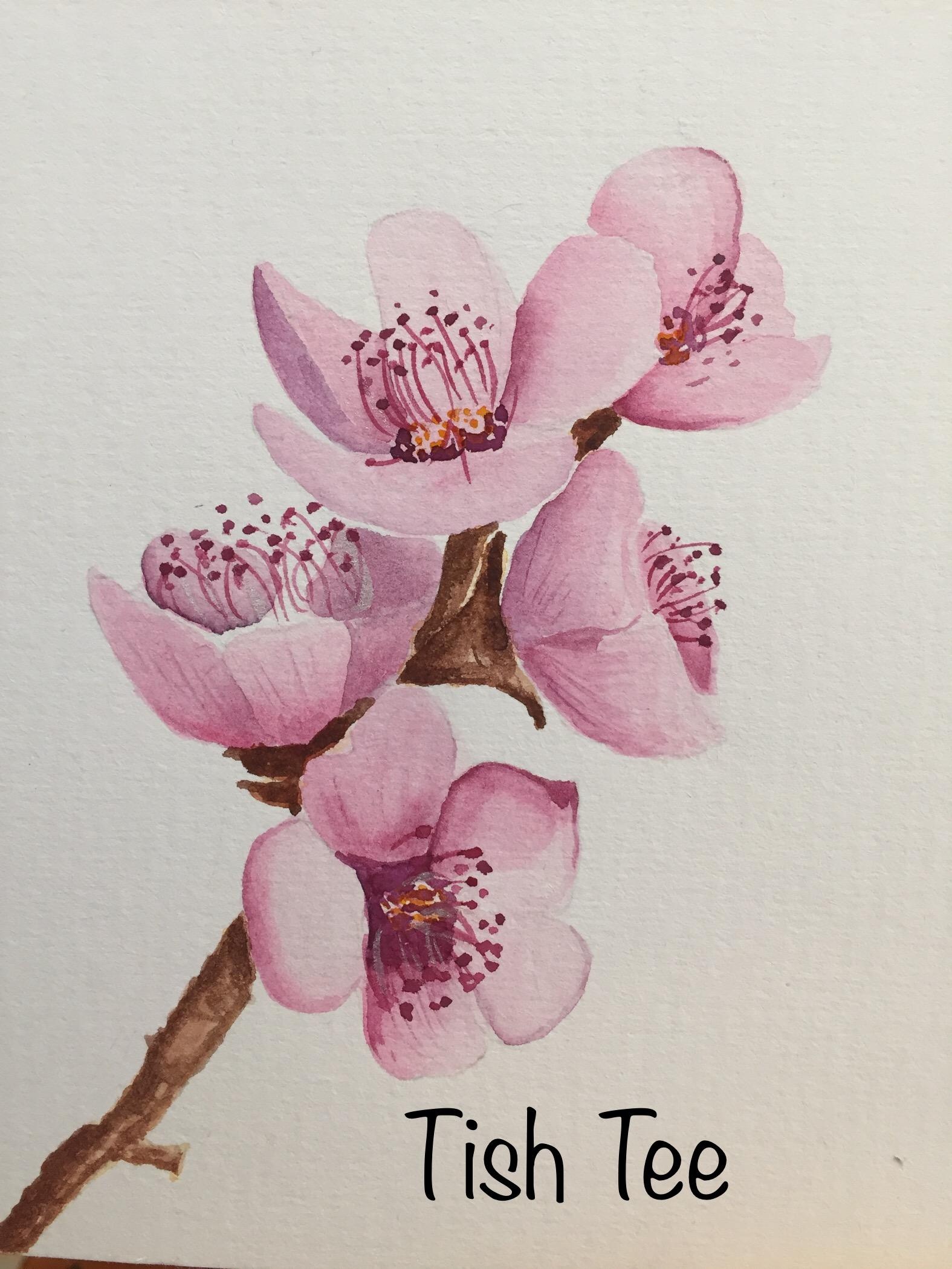 Cherry Blossom - student project