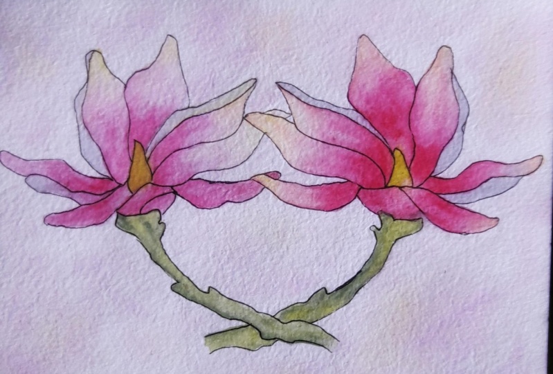 Pretty Magnolias