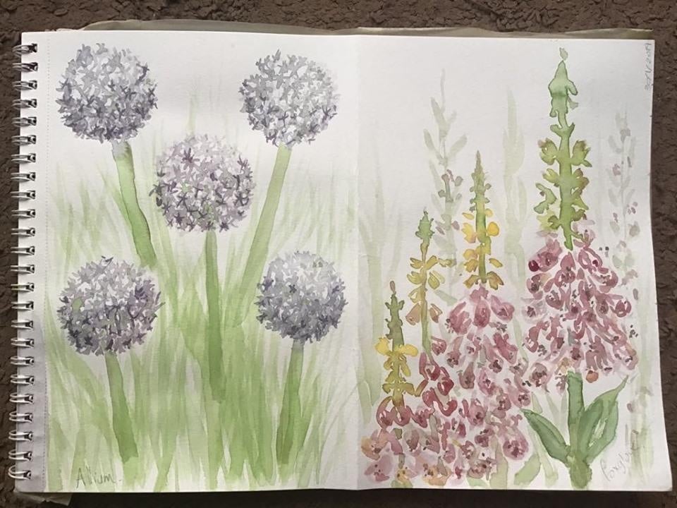 Foxglove and Allium - student project