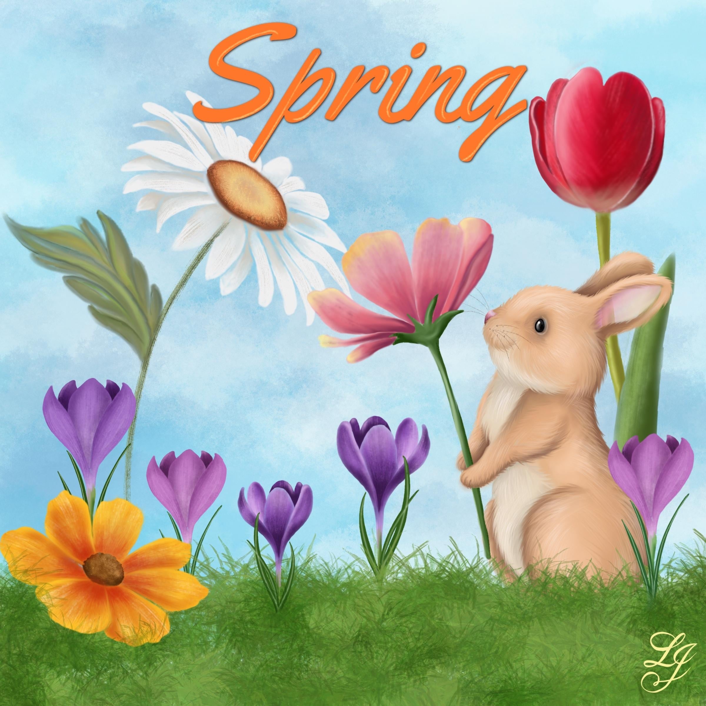 Spring - student project