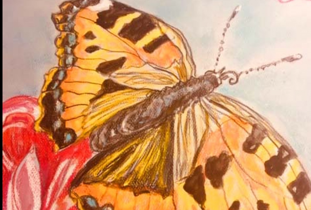 Butterfly Kisses - student project