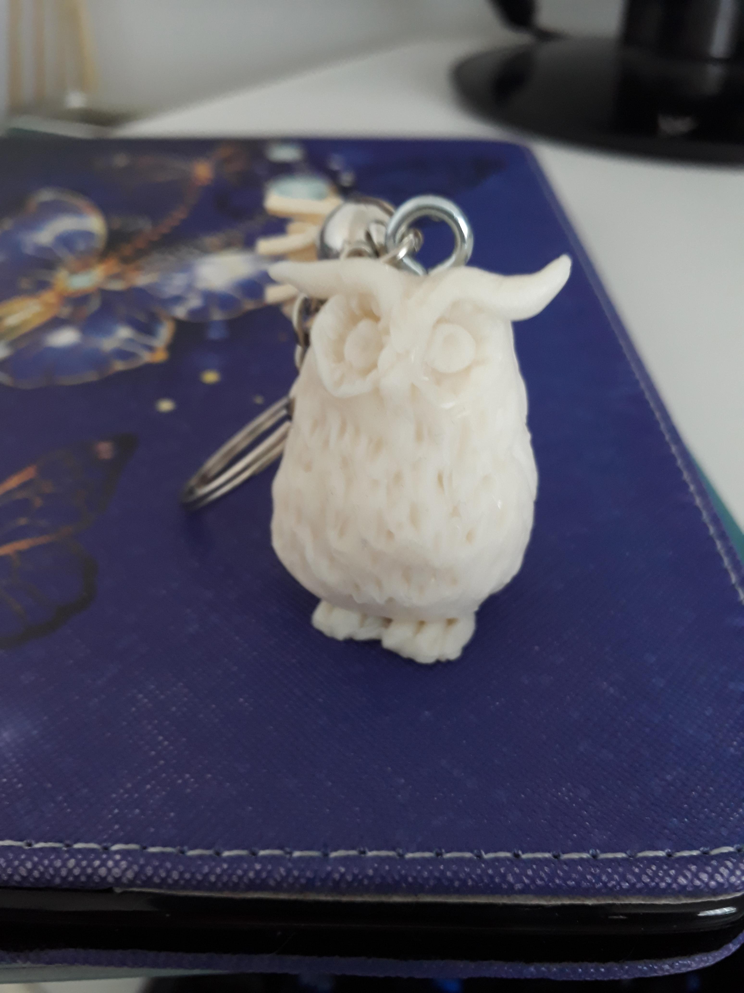 Owl as a keyring - student project