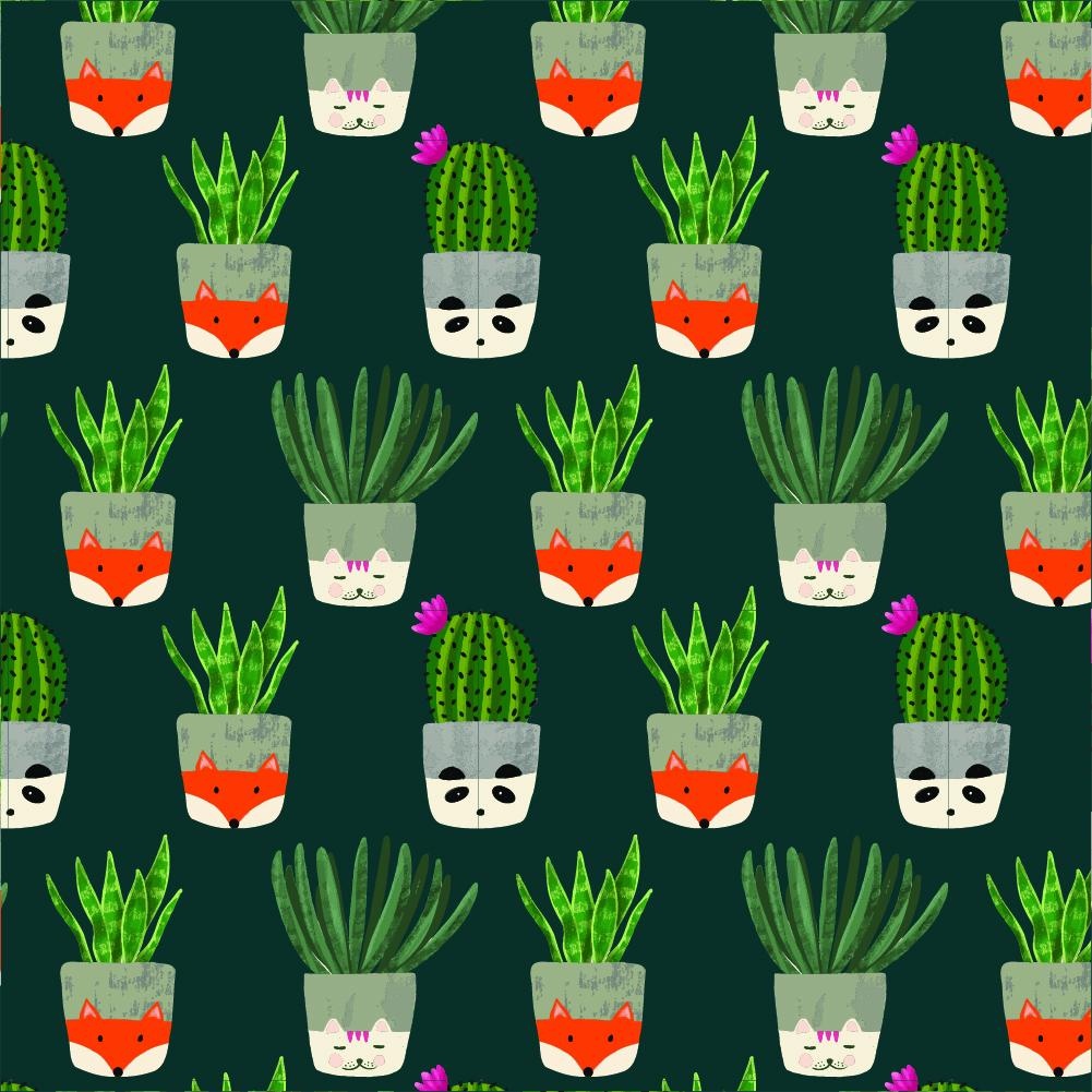 Cactus in a Pot - student project