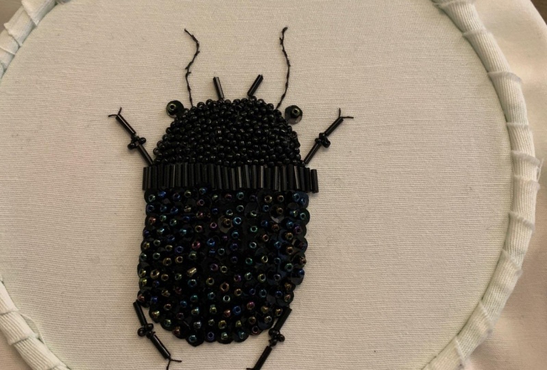 Little Bug