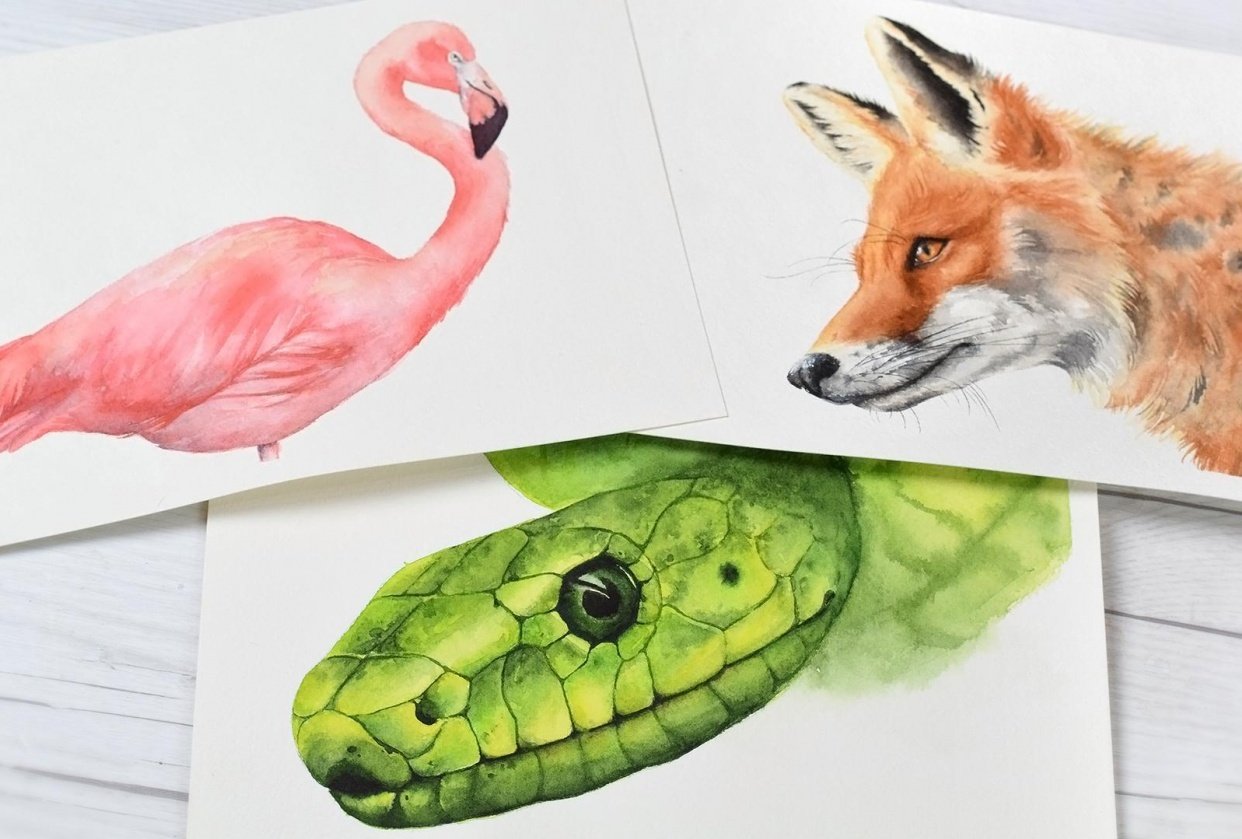 Fur, Feathers, and Scales - Oh my! - student project