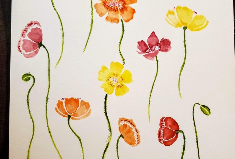 Poppy practice