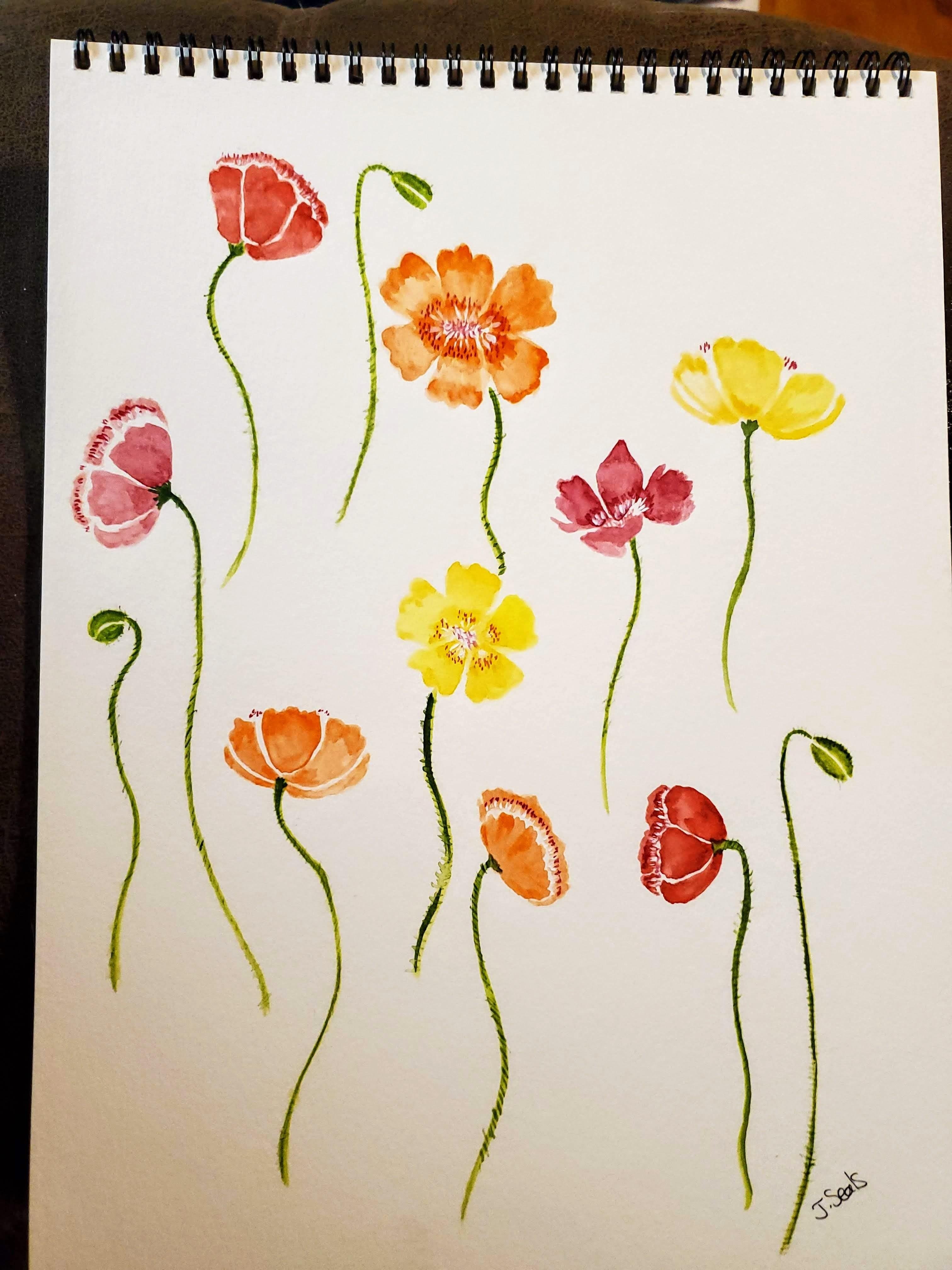 Poppy practice - student project