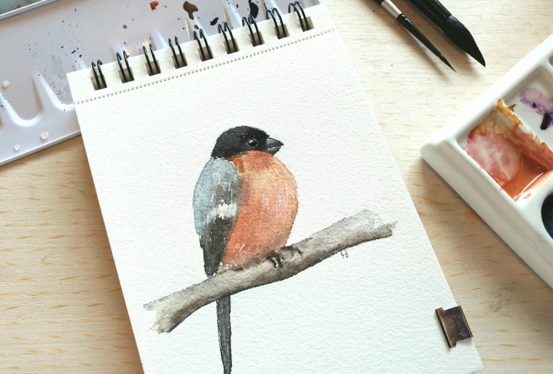Bullfinch