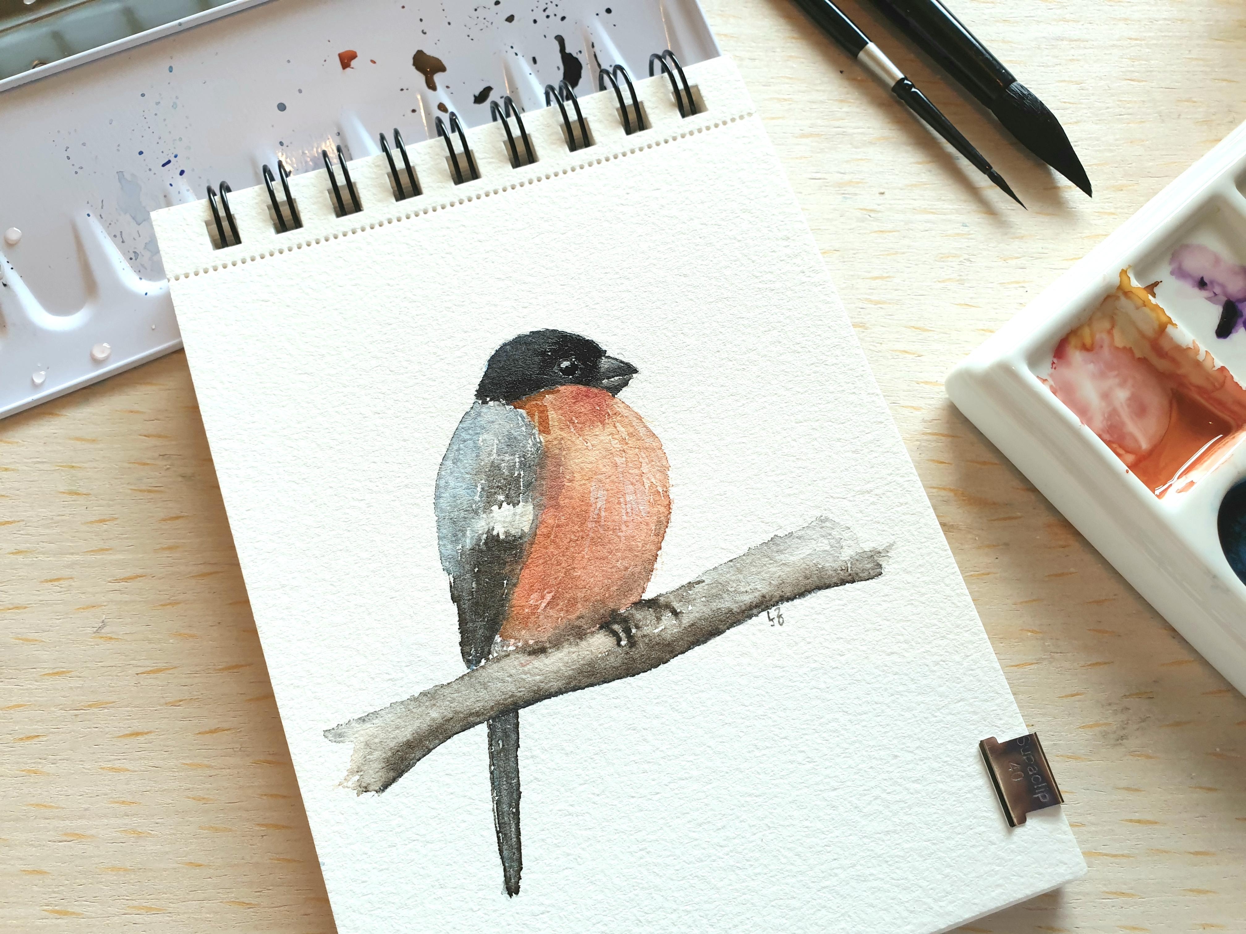 Bullfinch - student project