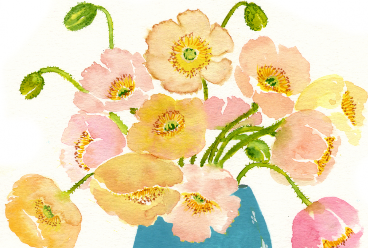 Poppies - student project