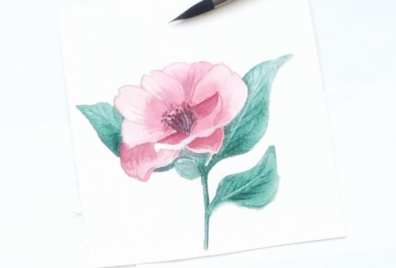 Watercolor flower