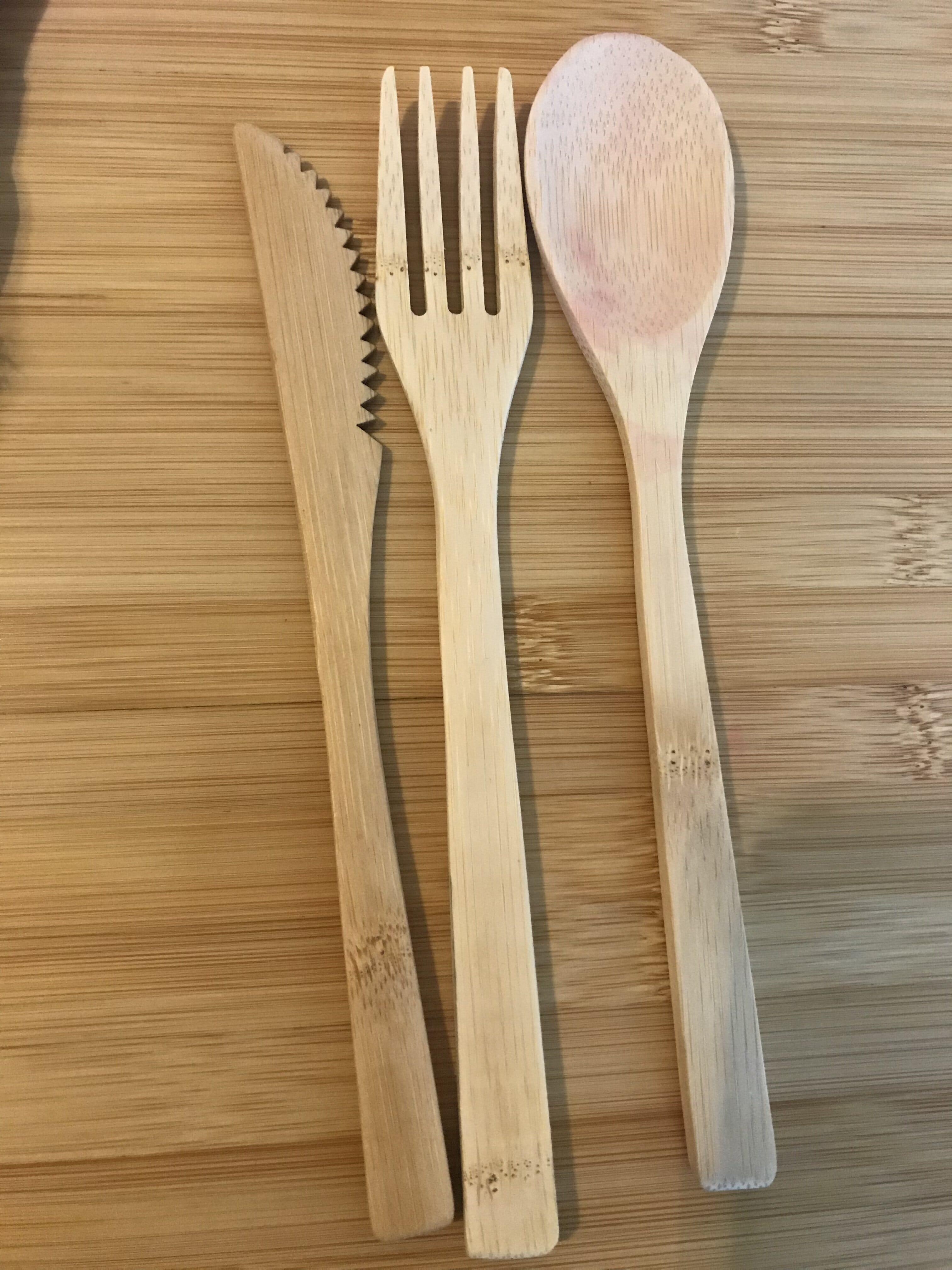 Reusable Utensils vs. Plastic Utensils - student project