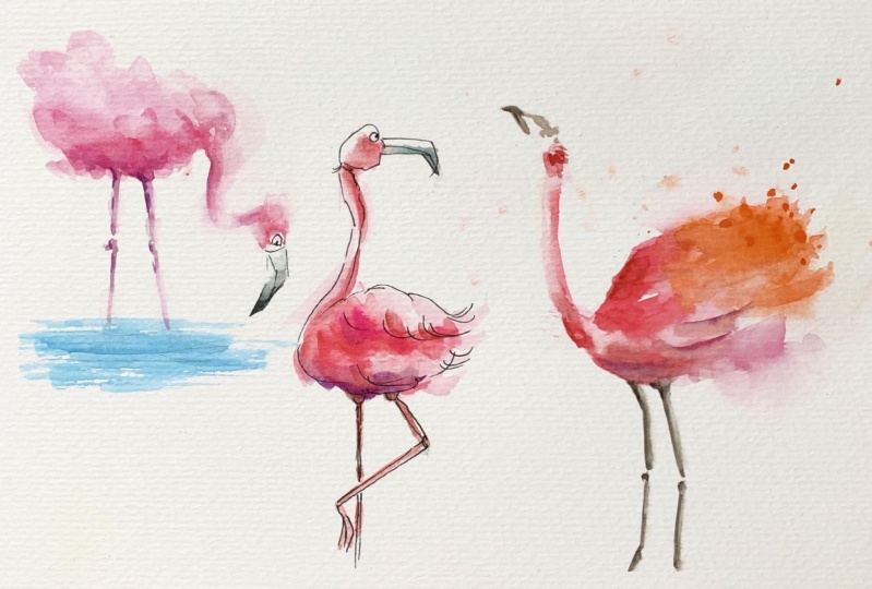 Flamingo