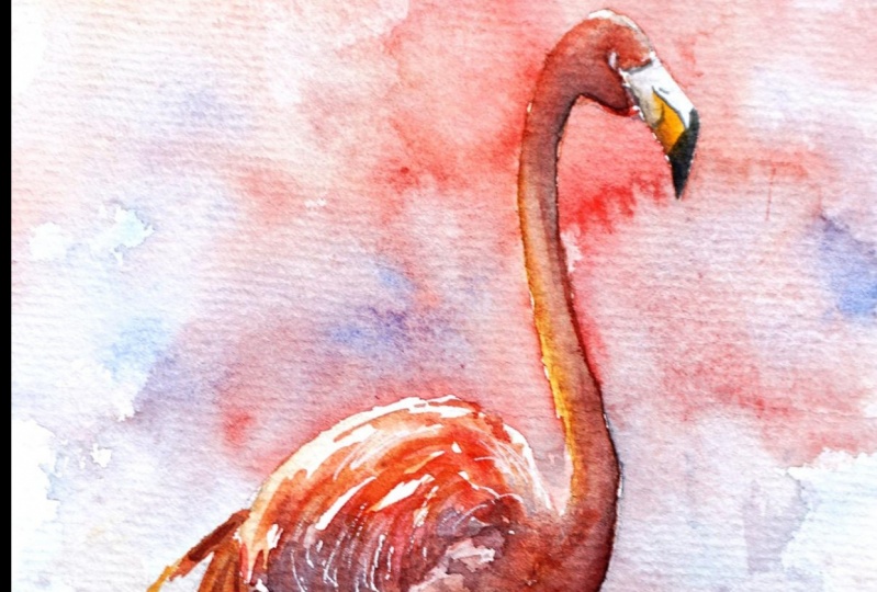 Pink Flamingo