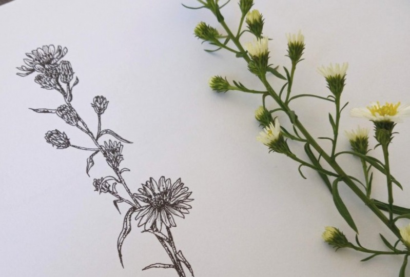 Flowers with more detail