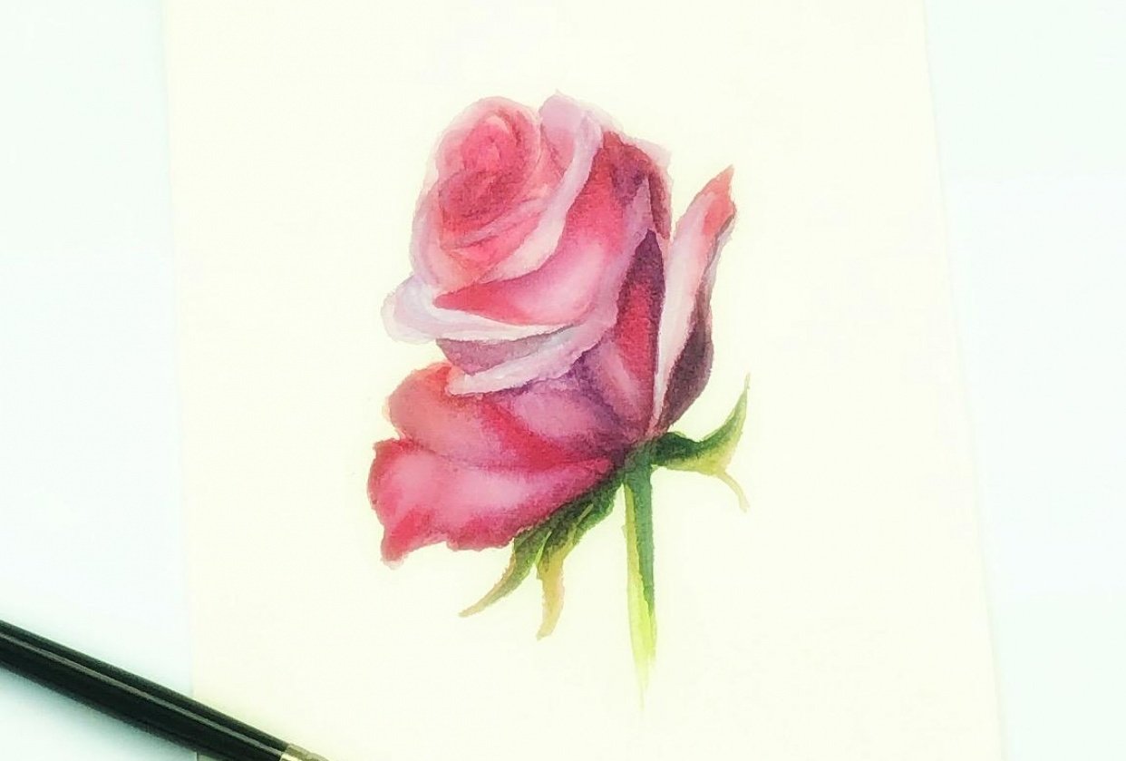 Watercolor rose - student project
