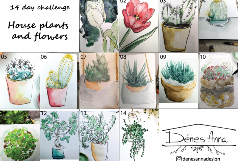 House plants and flowers