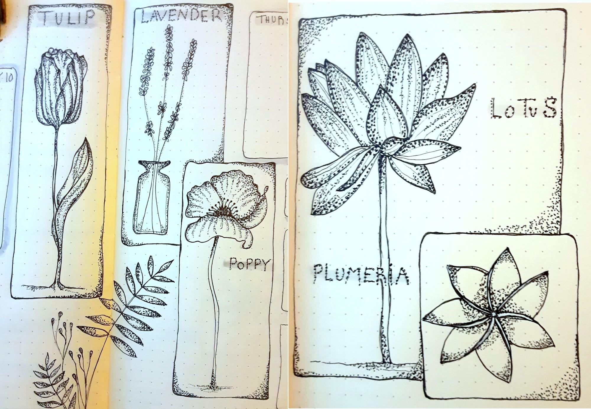 Dotwork Botanical Cards - student project