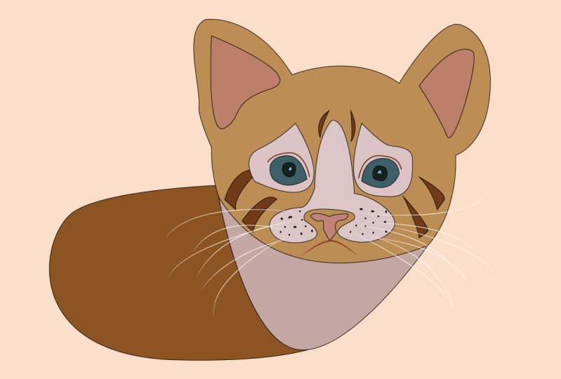 Cat Illustration with Pen Tool