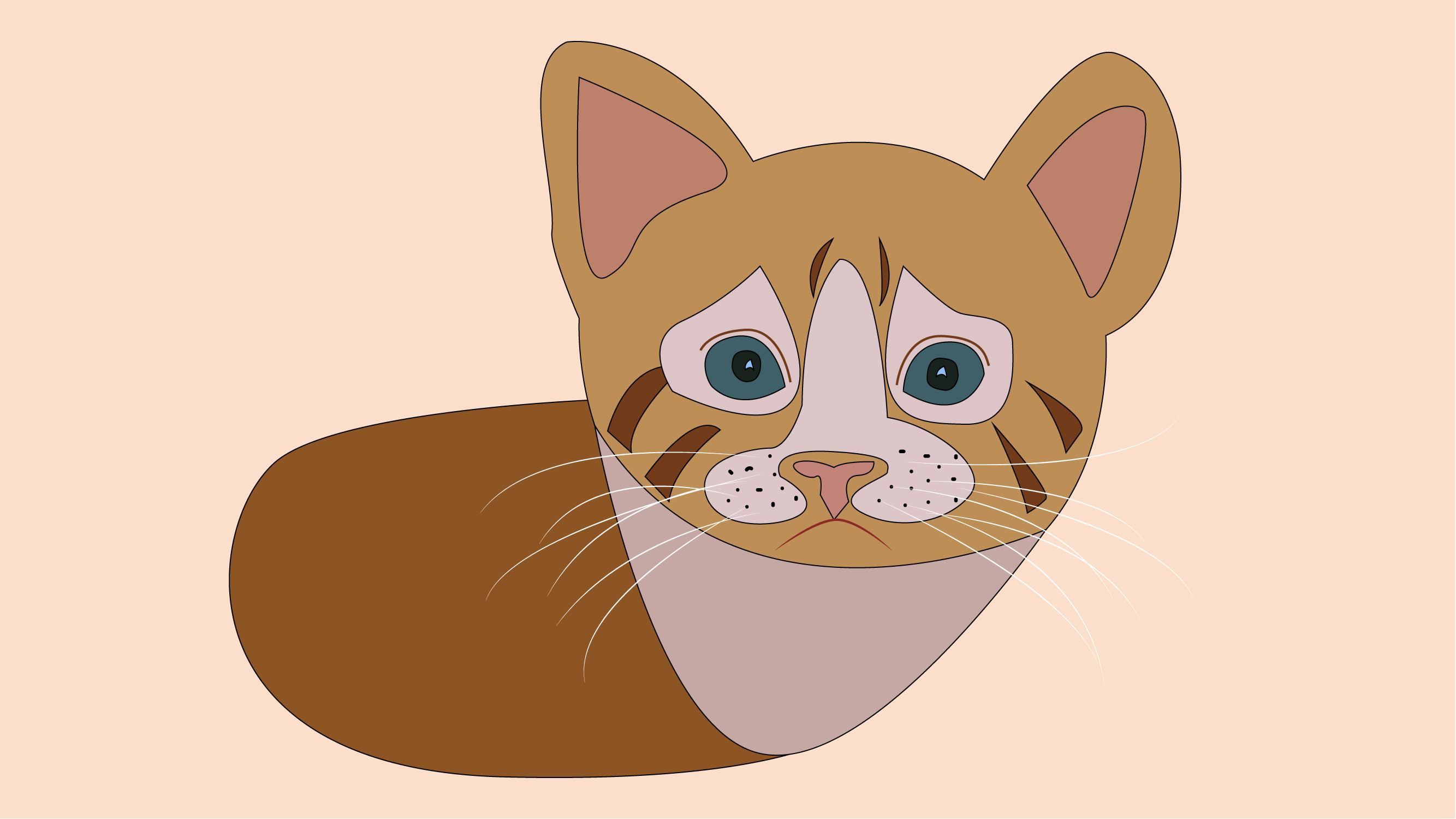 Cat Illustration with Pen Tool - student project