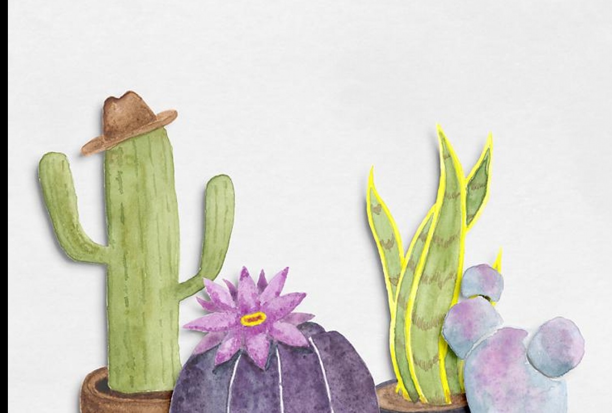 Succulent Family - student project