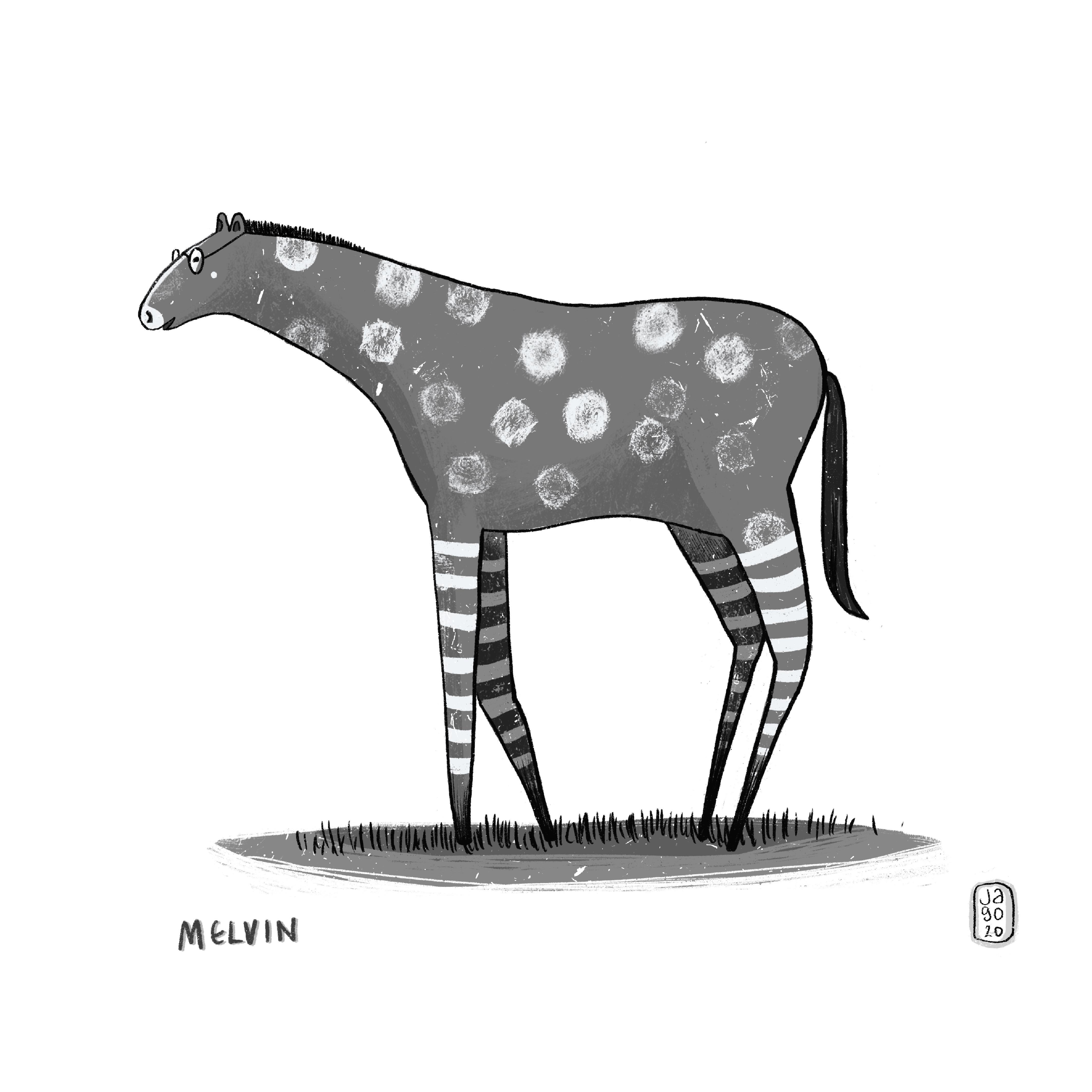 Melvin the tall horse who likes reading