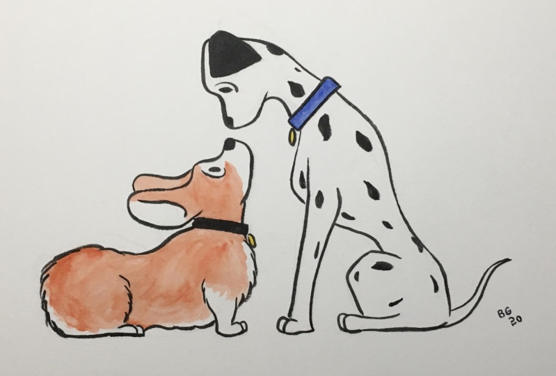 Corgi and Dalmation: First Contact
