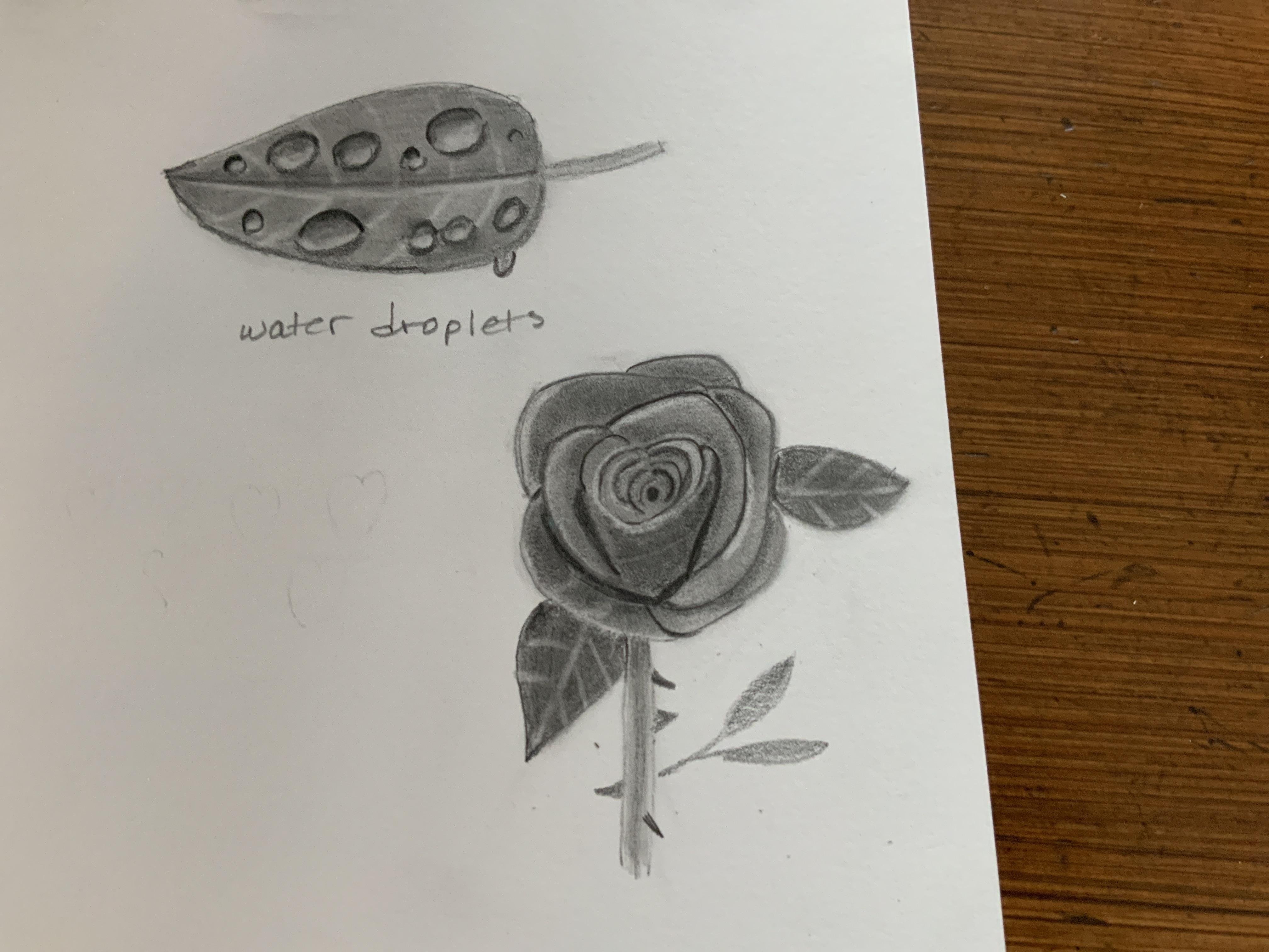Leaf and rose - student project