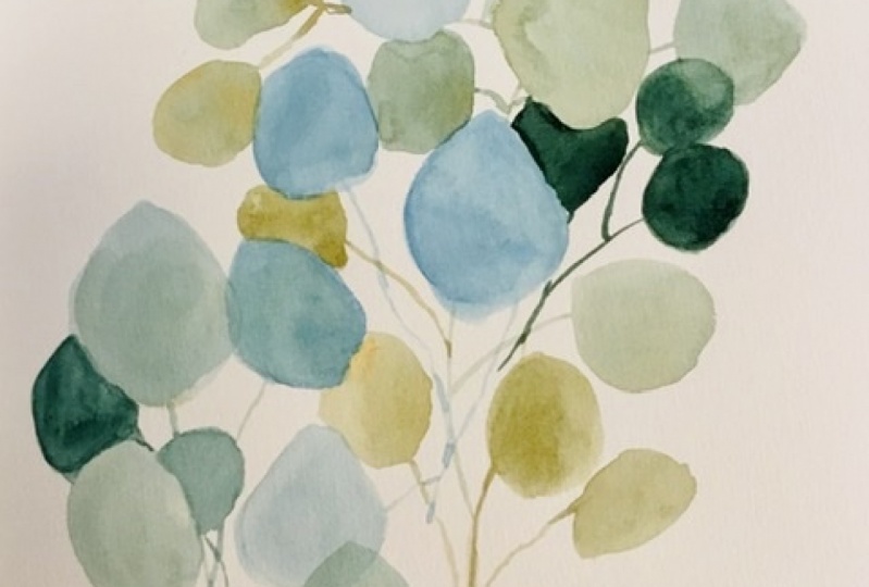Eucalyptus leaves