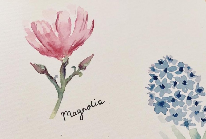Spring Flowers