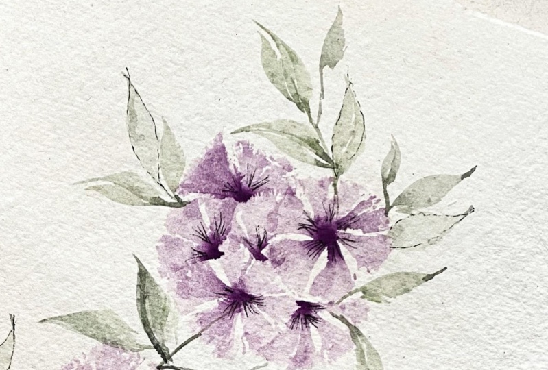Violet blooms