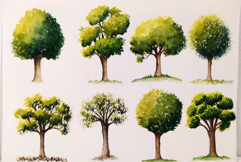 Trees, trees & trees