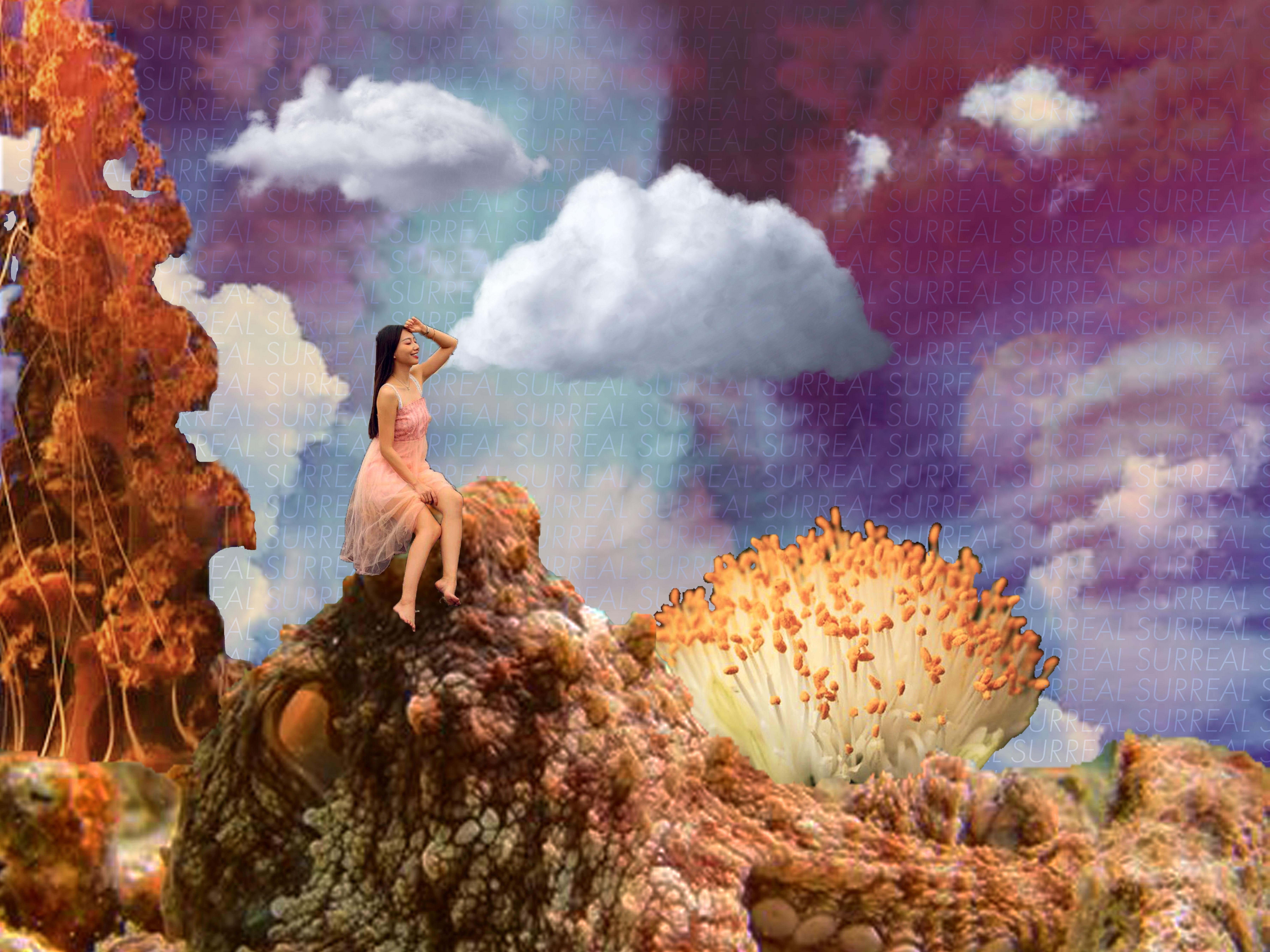 surreal - student project