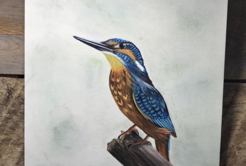 Kingfisher