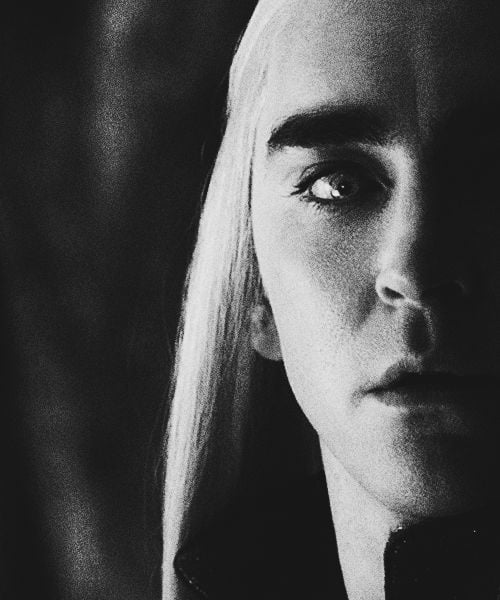 Thranduil Journal Entry - student project