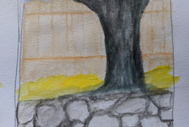 quick backyard sketch