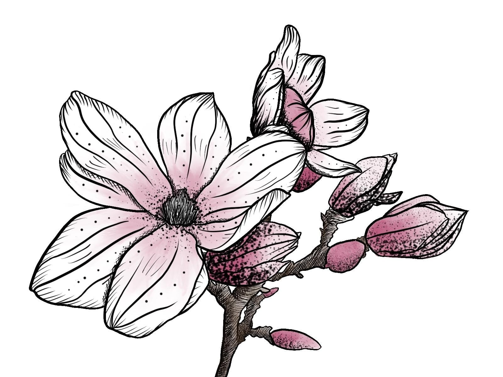 My piece using the lesson’s techniques! - student project