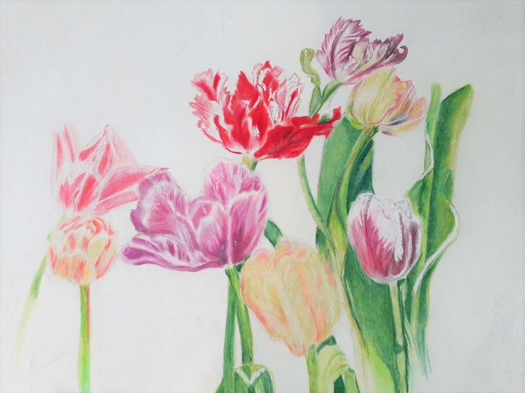 colored pencils flowers leaves updated - student project